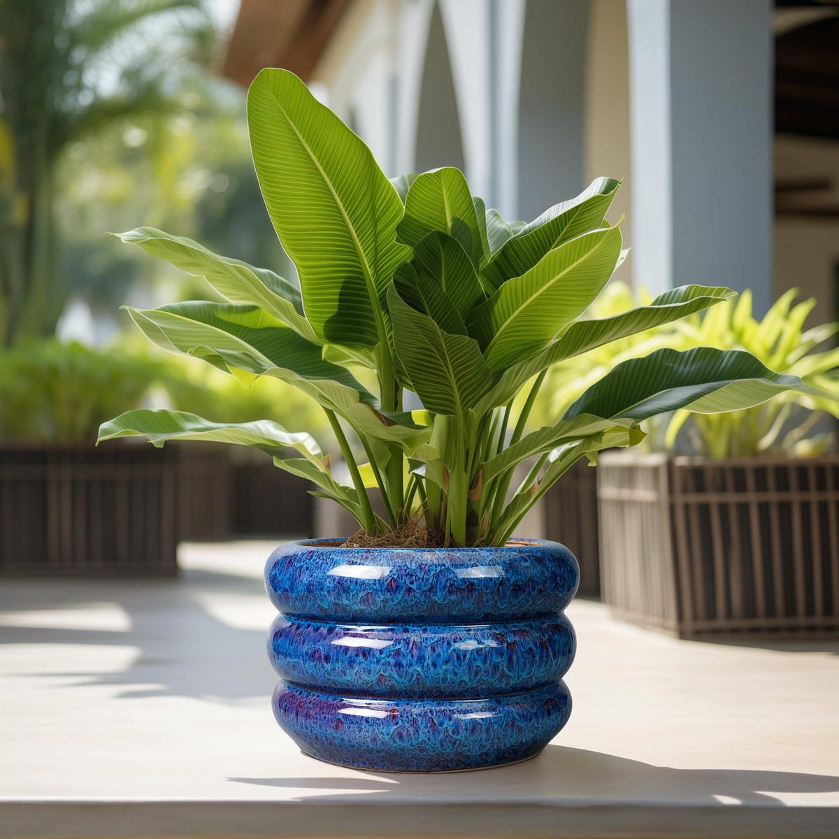 SQOWL Blue Cachepots Ceramic Cachepot Large Planter 13 Inch Indoor Outdoor NEW