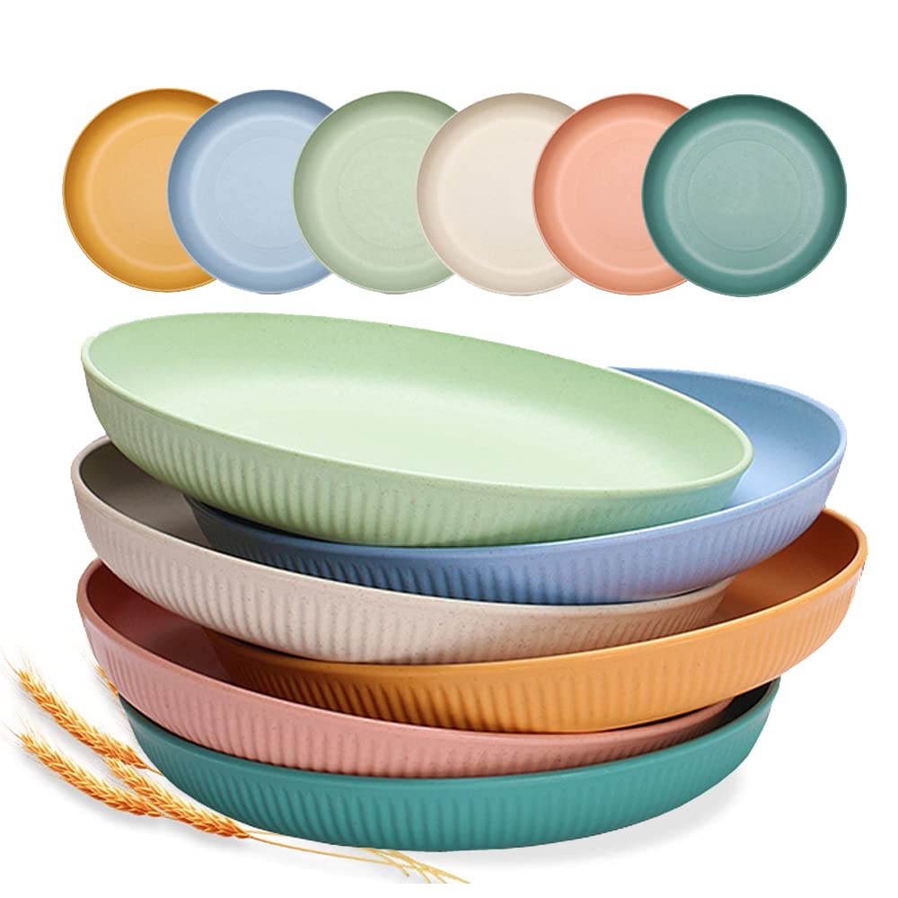 Ayvicco Multicolor 6x Dinner Plates Unbreakable Wheat Straw Size 9 inch DEMO
