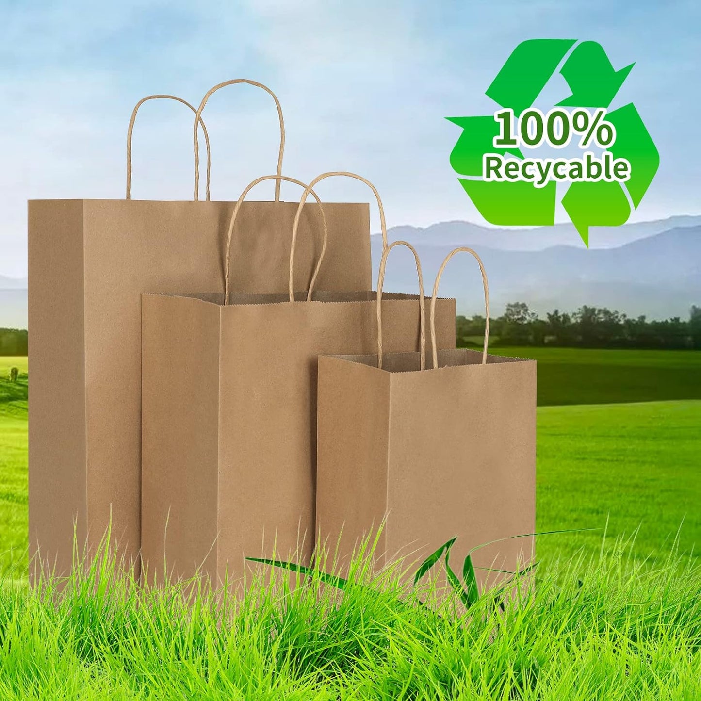 Toovip Plain Brown Kraft Paper Gift Bags with Handles, 1 Count (Pack of 90) NEW