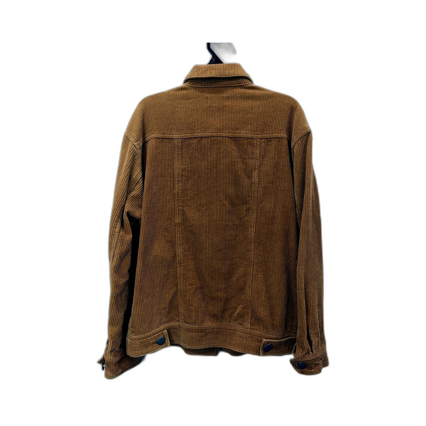 Dotti Womens Button Down Corduroy Shirt Lightweight Feminine Brown Size 6