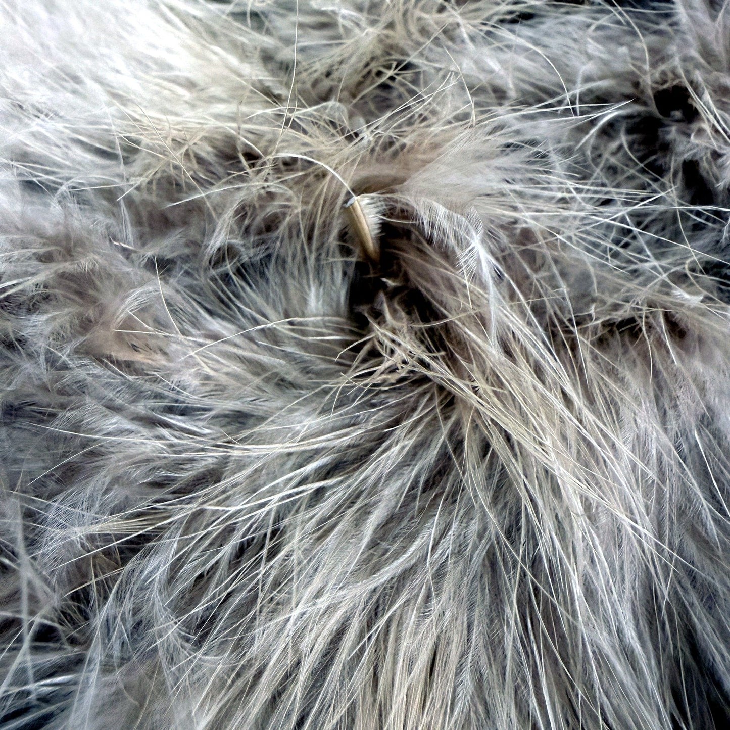 Monica Womens Ostrich Feather Shawl Sleeveless Wrap Light Bronze Size S
