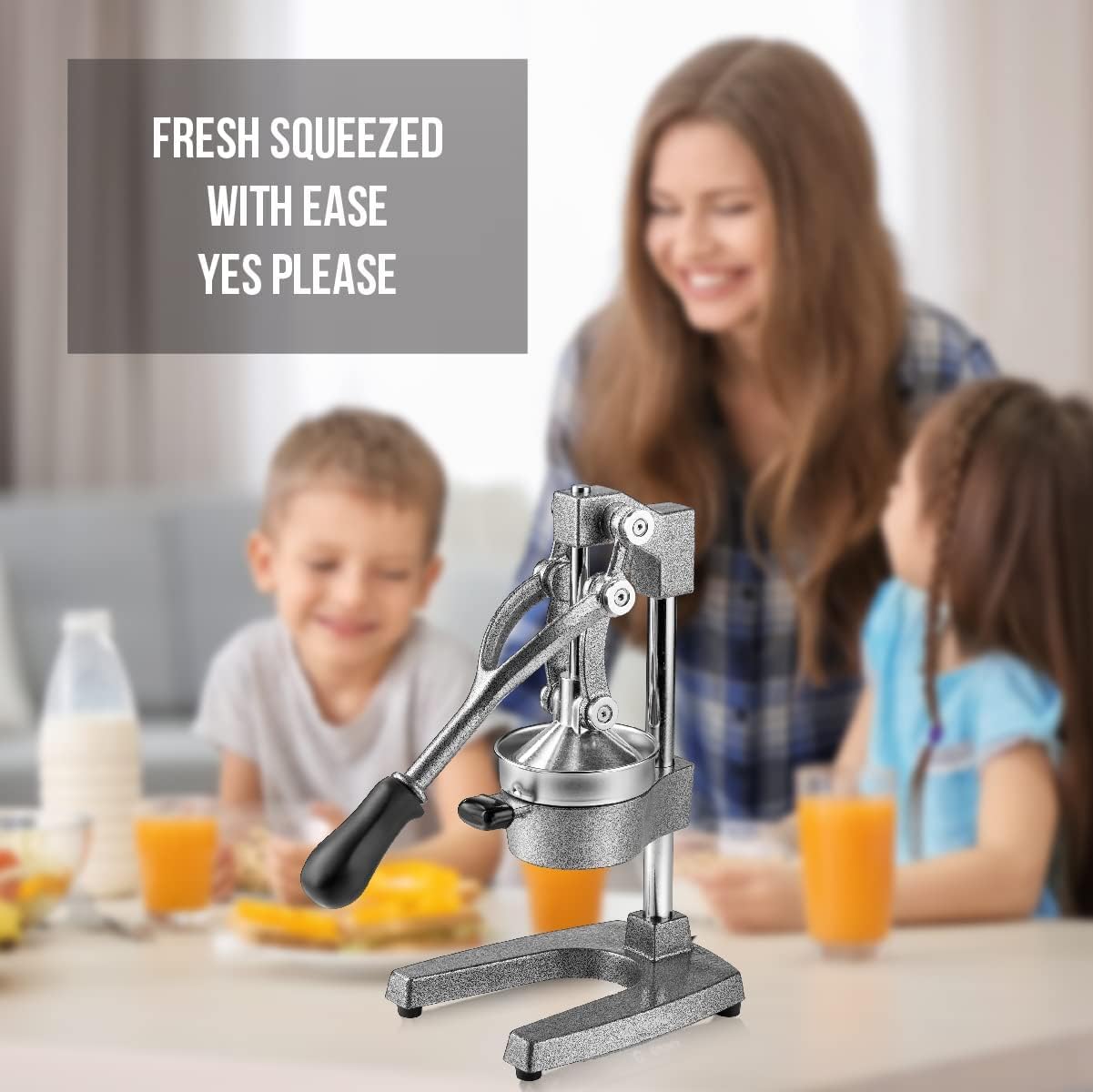 Homodoskey Extra-Large Commercial Grade Manual Citrus Juicer in Gray - DEMO
