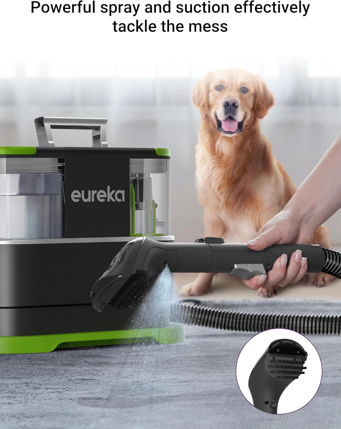 EUREKA Portable Vacuums Carpet and Upholstery Cleaner for Pet Stains, Black DEMO