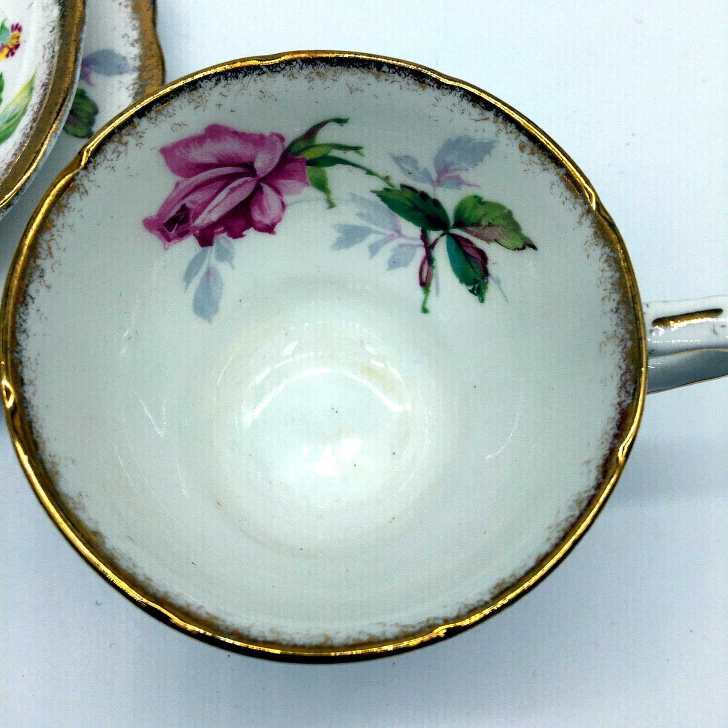 Royal Stafford Berkley Rose Bone China Tea Cup and Saucer Set White with Pink