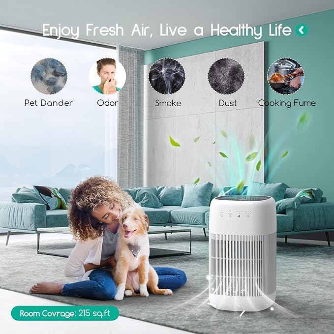 Afloia 2-in-1 Air Purifier and Dehumidifier with True HEPA Filter, Off DEMO