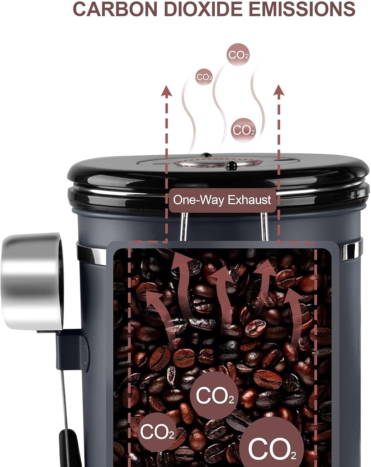 EZKOXAH Airtight Coffee Beans Canister Stainless Steel Container Size M DEMO