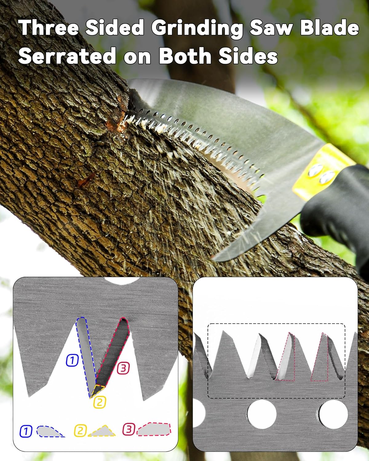 BlumeTrec Adjustable Pole Saw for Tree Trimming Lightweight Manual Pruning DEMO