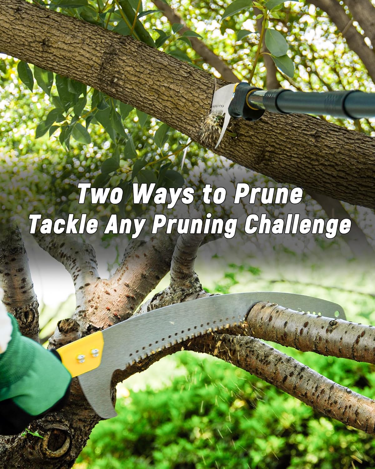 BlumeTrec Adjustable Pole Saw for Tree Trimming Lightweight Manual Pruning DEMO