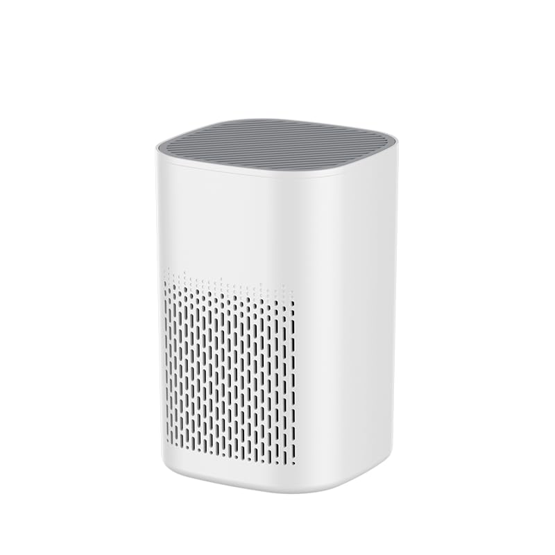 CCILIYC Air Air Purifiers Purifier with H13 HEPA Filters Fragrance for NEW