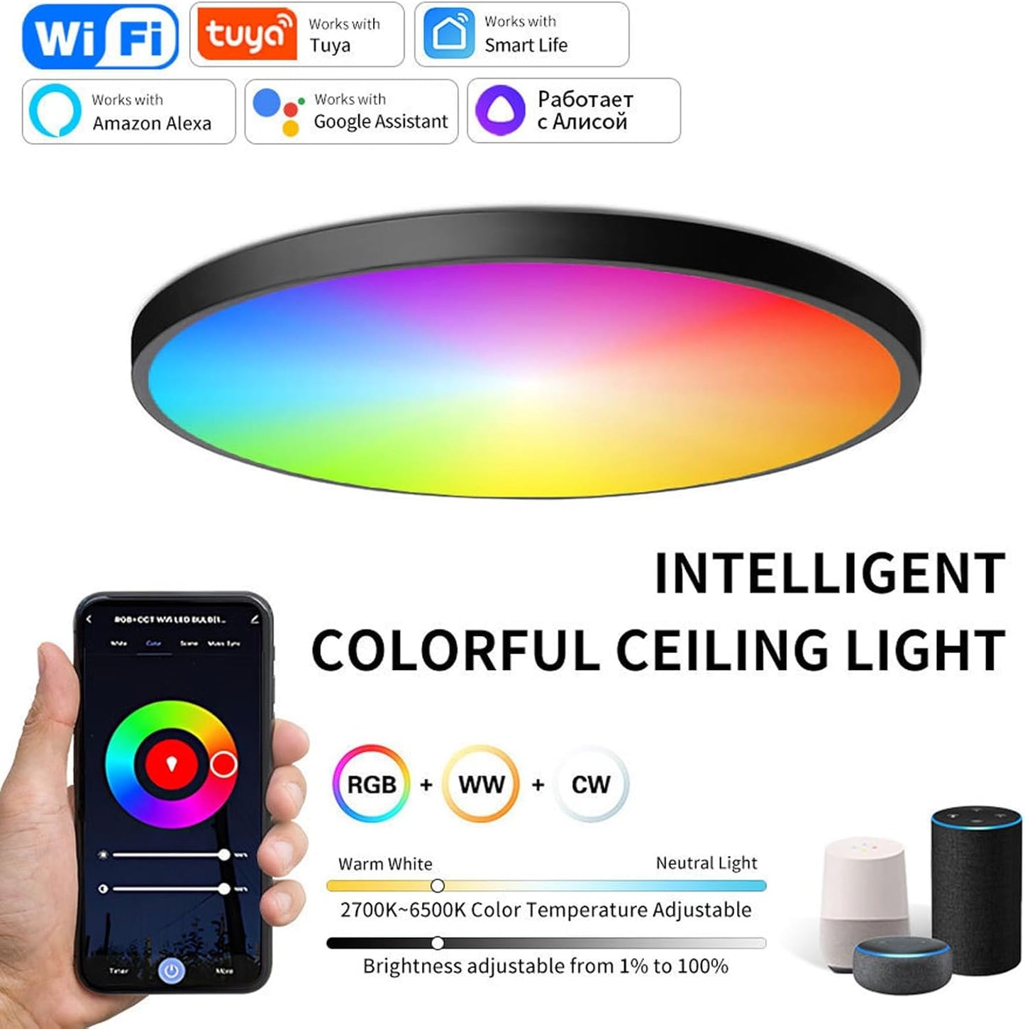 PORIYA 24W WiFi Smart Ceiling Light Fixture - Ultra-Thin Voice Control for DEMO