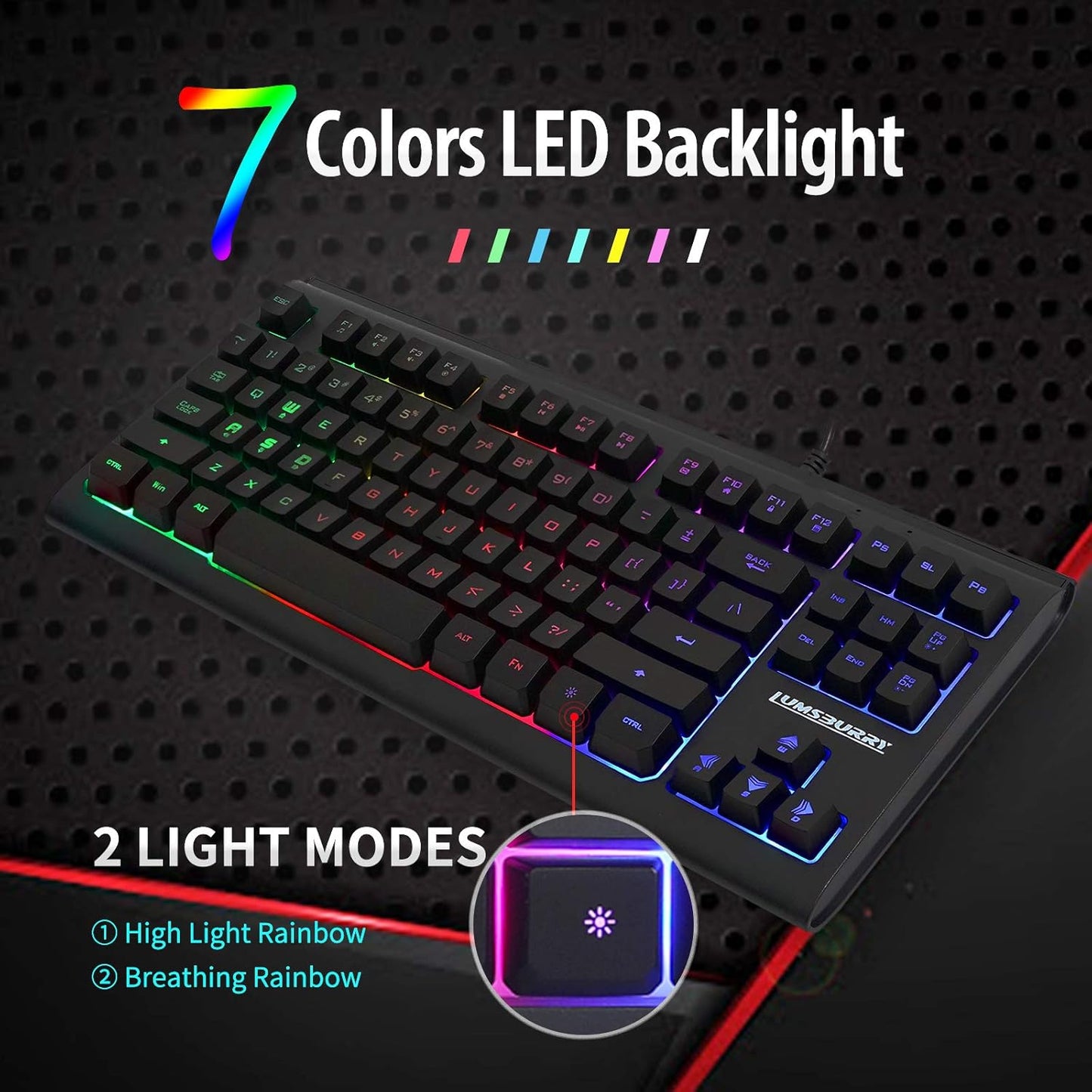 Lumsburry 87-Key Compact Wired USB Gaming Keyboard with Rainbow LED DEMO