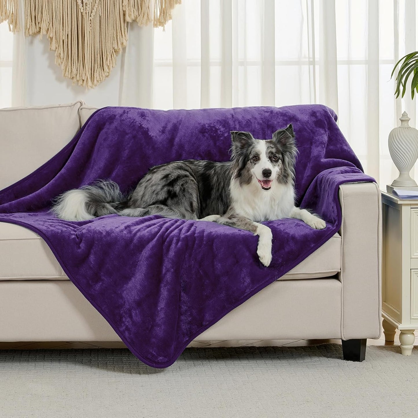 Yaning Soft Bed Blankets Liquid-Proof Bed Blanket, Dark Purple, 50x60 DEMO