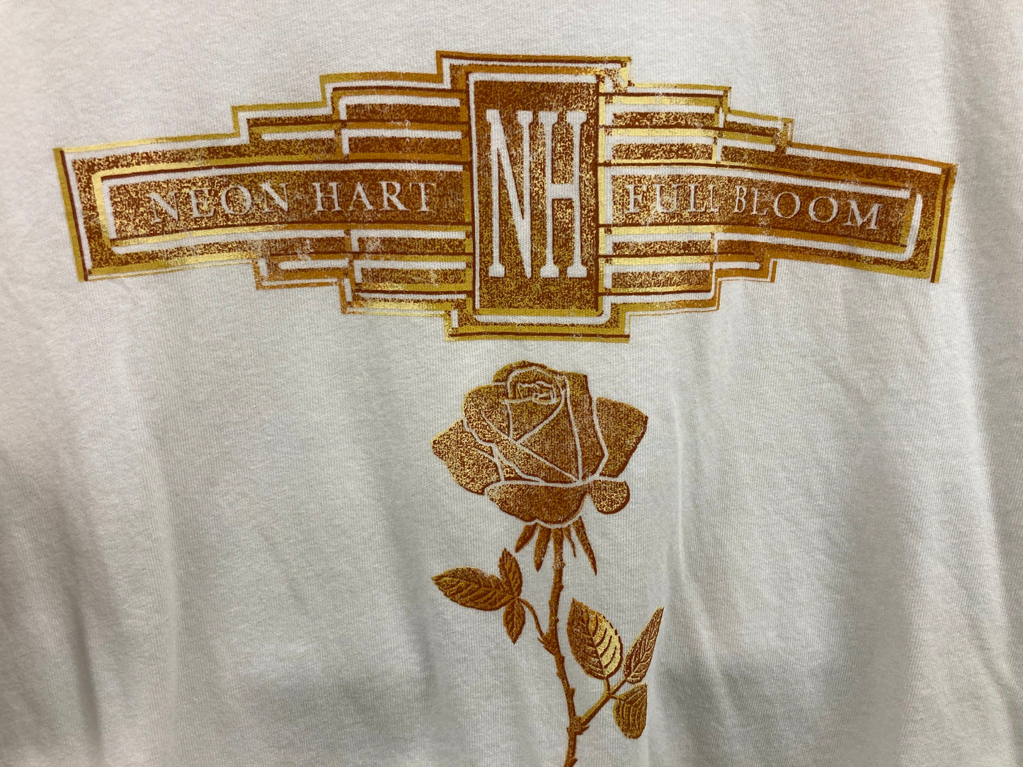 Neon Hart Rose Stamp Oversized T-Shirt Tee Cotton White Mens Sz S NEW