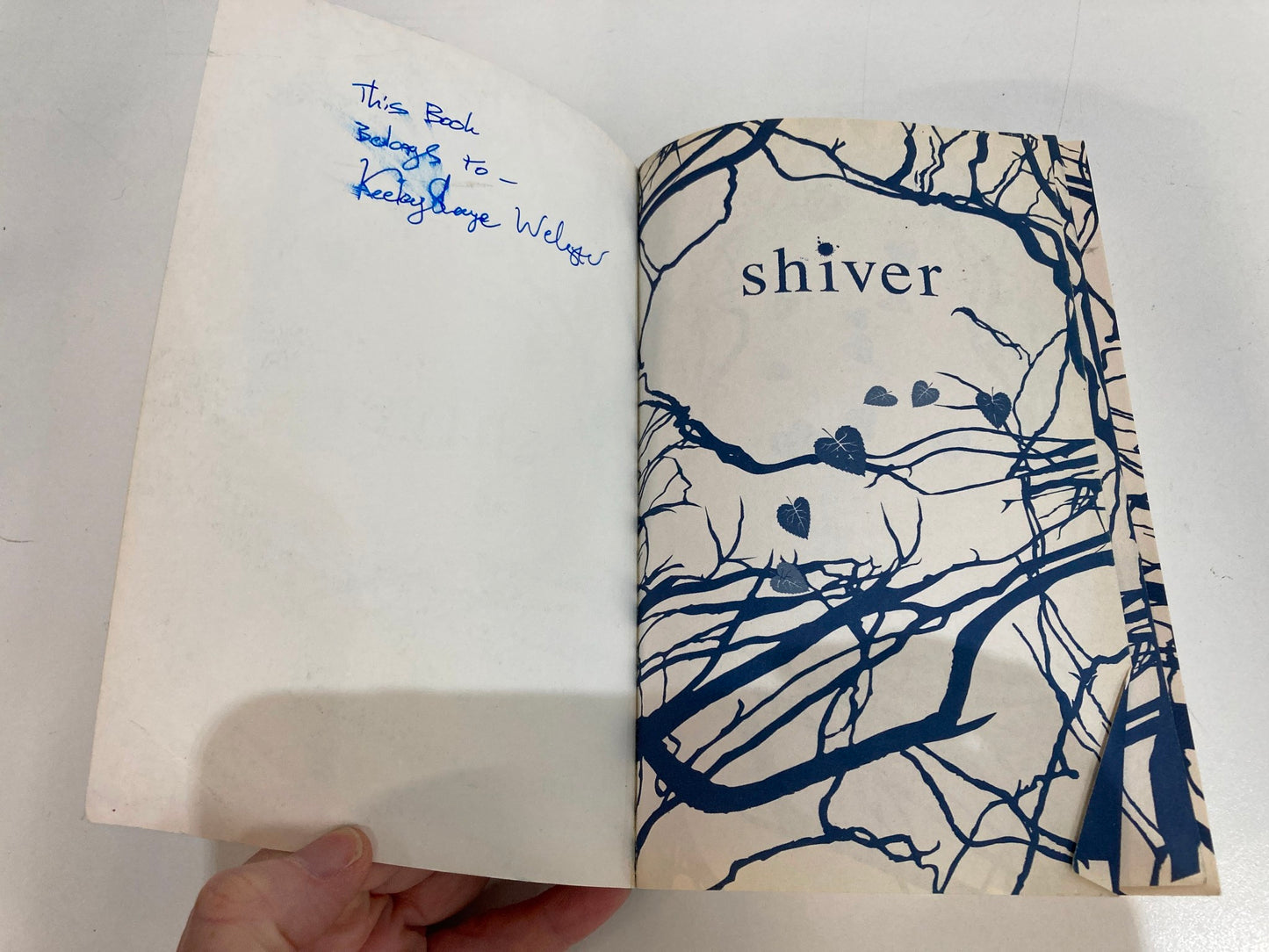 Shiver Scholastic Press Softcover Book Author: Maggie Stiefvater